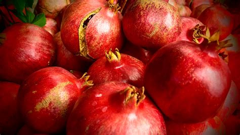 pomegranate türkçe anlamı